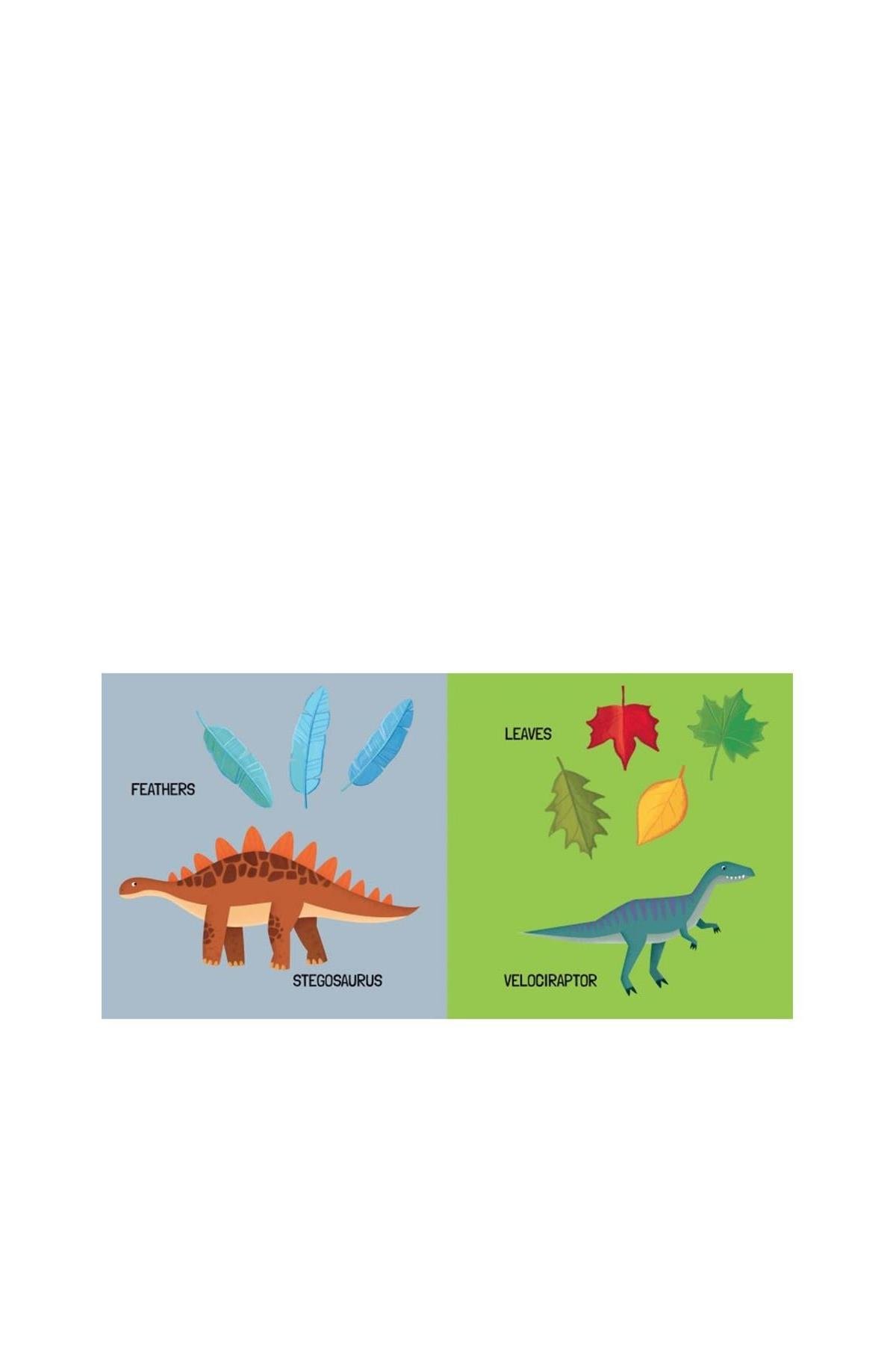 Sassi /LEARN THE WORDS WITH DINOSAURS Çok Renkli