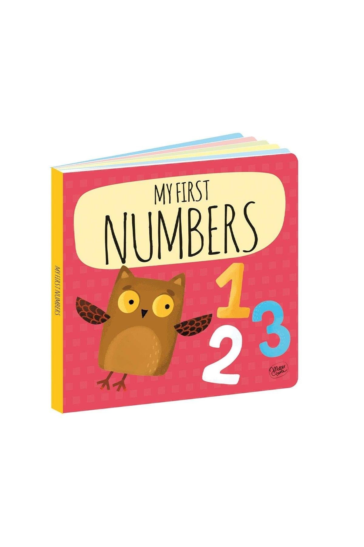 Sassi /MY FIRST NUMBERS - STEAM PUZZLE Çok Renkli