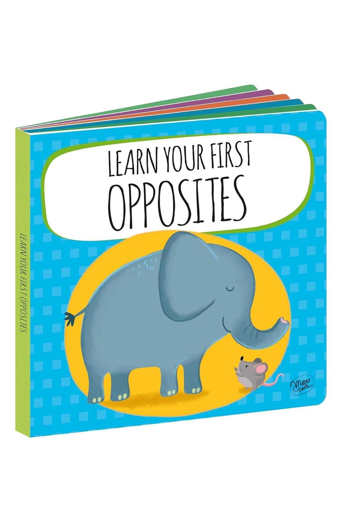 Sassi /MY FIRST OPPOSITES - STEAM PUZZLE Çok Renkli