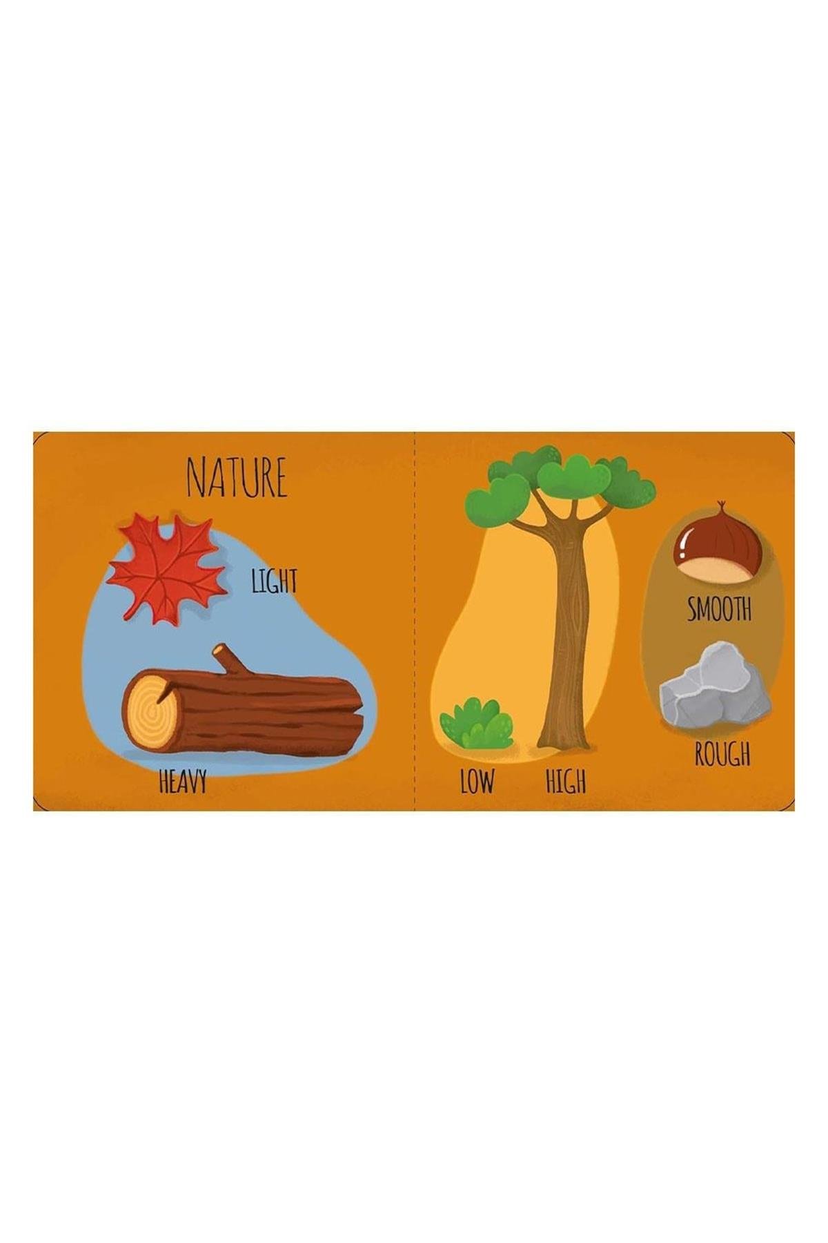 Sassi /MY FIRST OPPOSITES - STEAM PUZZLE Çok Renkli