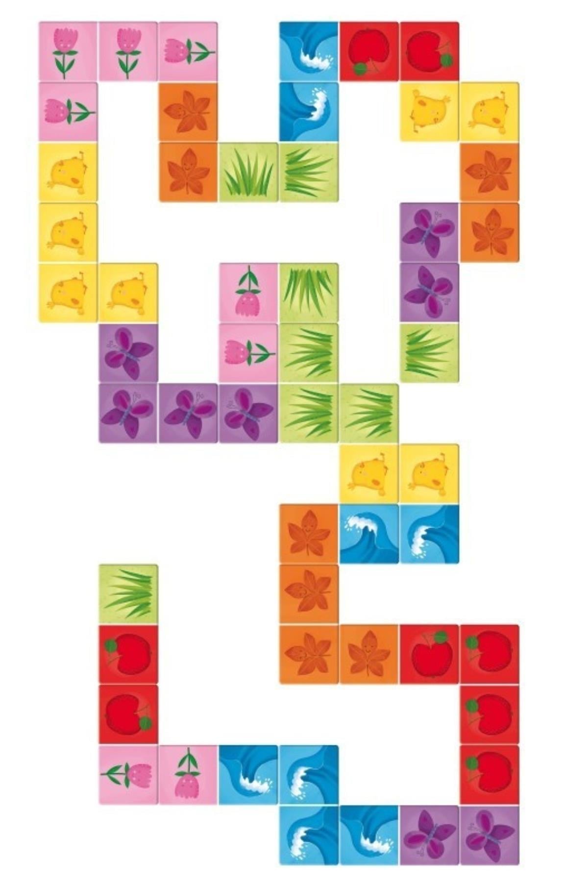 Sassi /PLAY AND LEARN - DOMINO COLOURS Çok Renkli