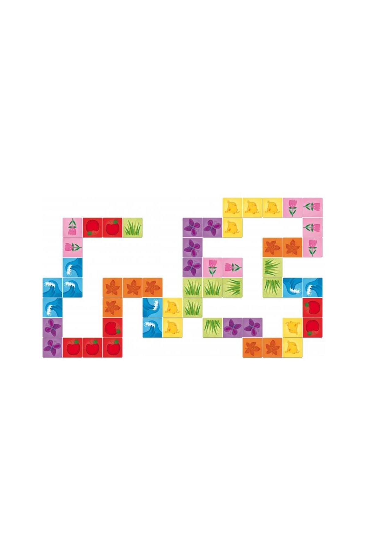 Sassi /PLAY AND LEARN - DOMINO COLOURS Çok Renkli