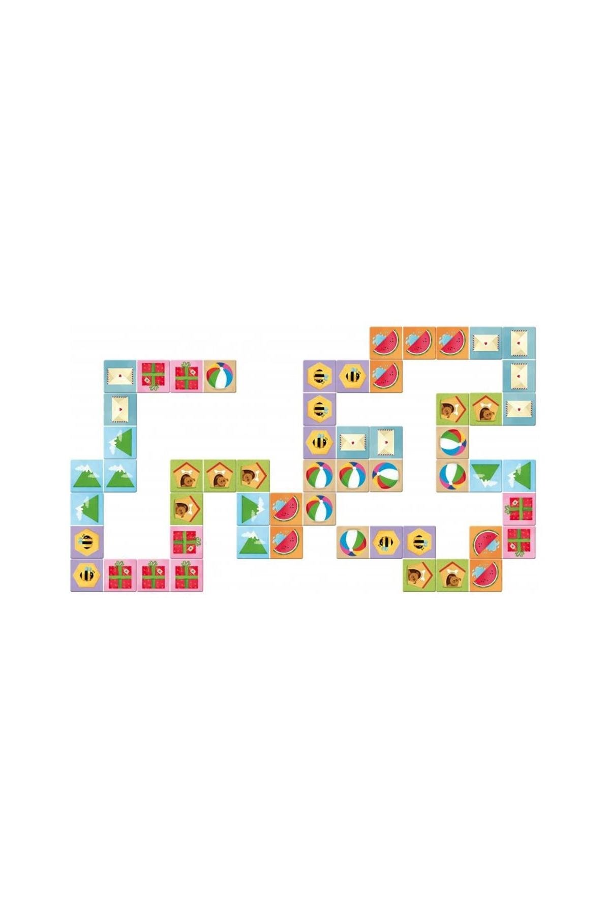 Sassi /PLAY AND LEARN - DOMINO SHAPES Çok Renkli