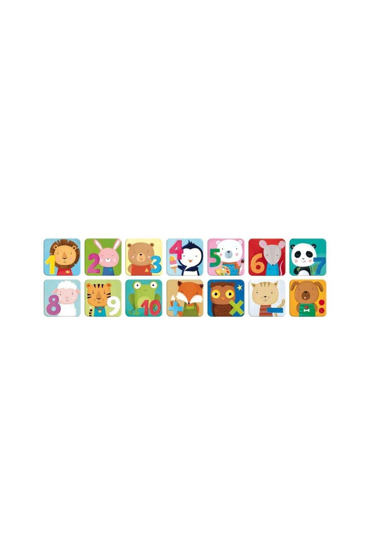 Sassi /PLAY AND LEARN - MEMO NUMBERS Çok Renkli