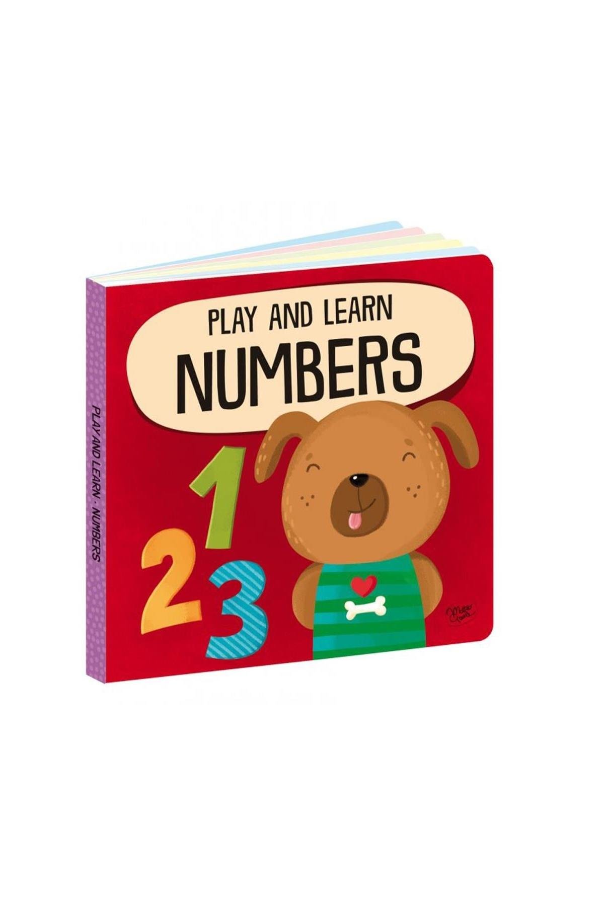Sassi /PLAY AND LEARN - MEMO NUMBERS Çok Renkli