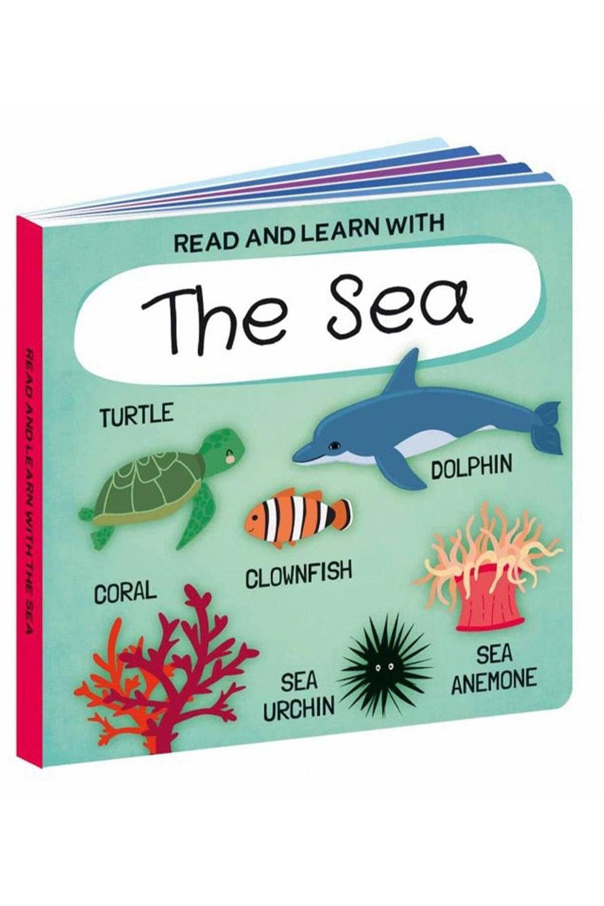 Sassi /READ AND LEARN WITH SEAS Çok Renkli