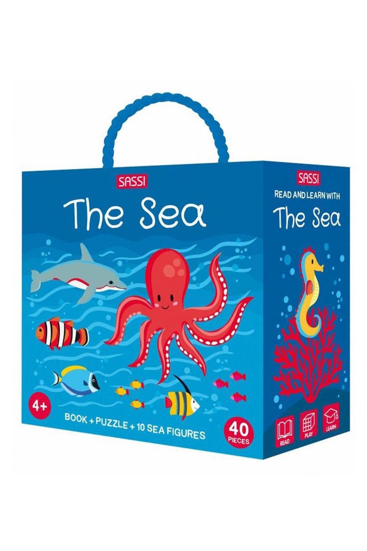 Sassi /READ AND LEARN WITH SEAS Çok Renkli
