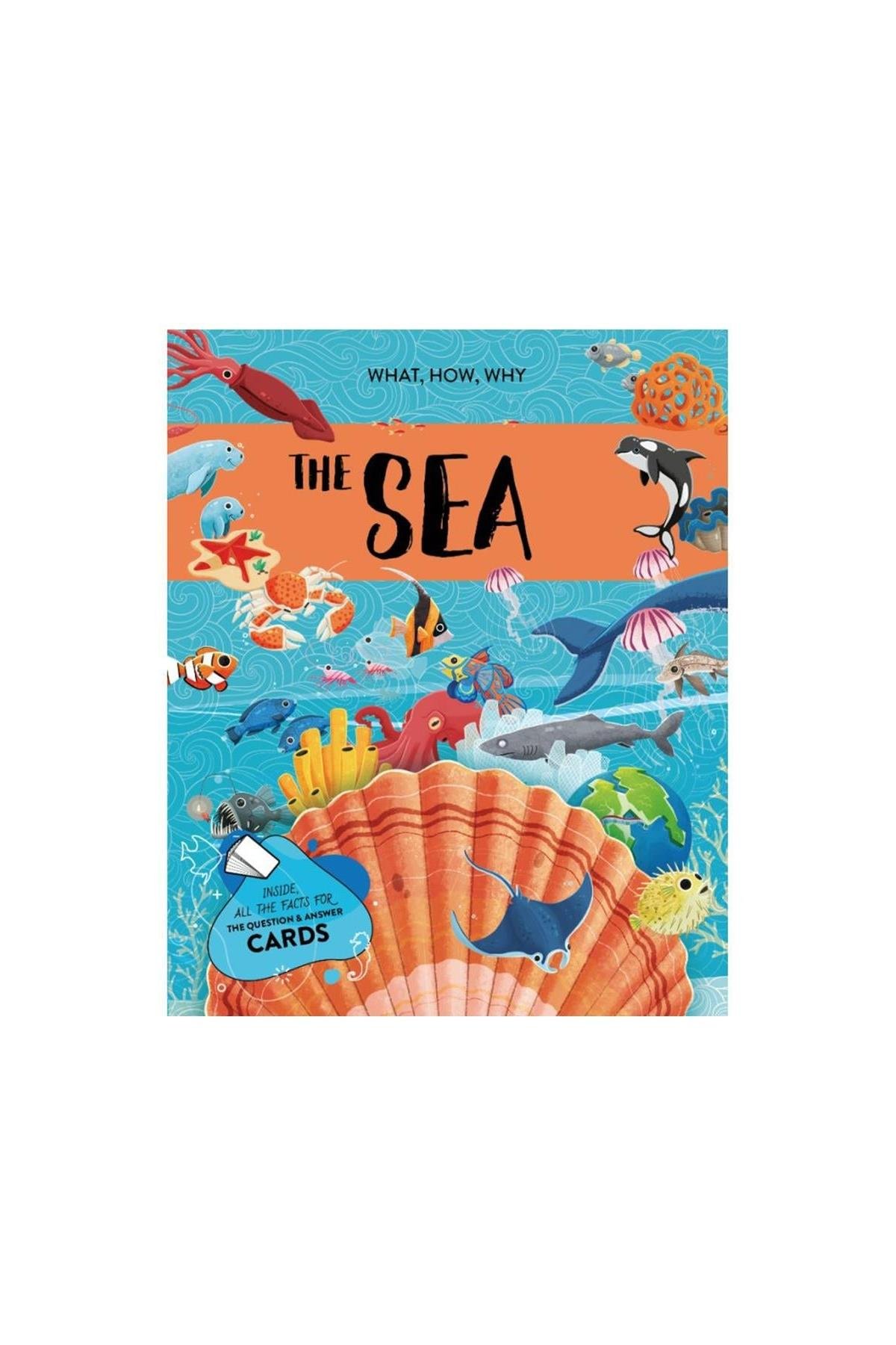 Sassi /THE SEA - THE ULTIMATE ATLAS Çok Renkli