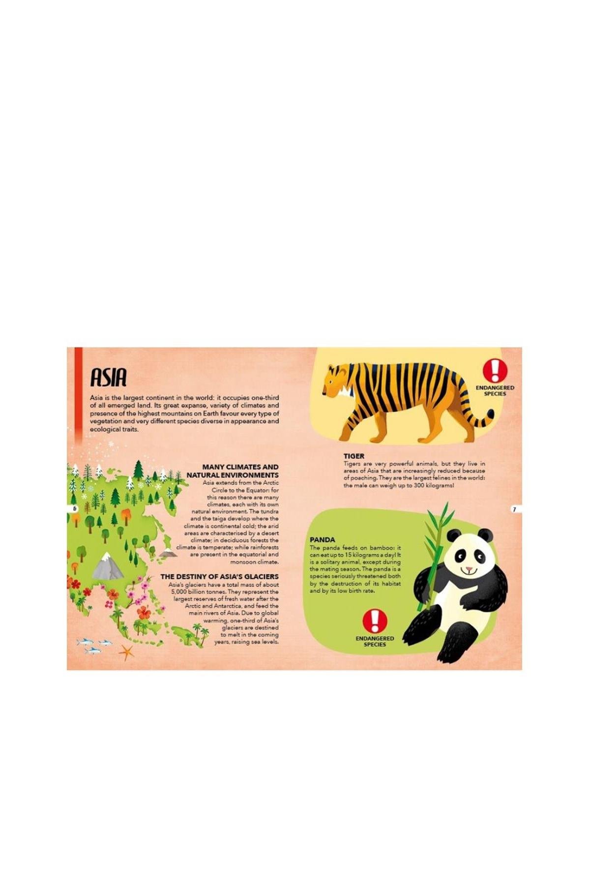 Sassi /TRAVEL, LEARN AND EXPLORE - ENDANGERED ANIMALS Çok Renkli
