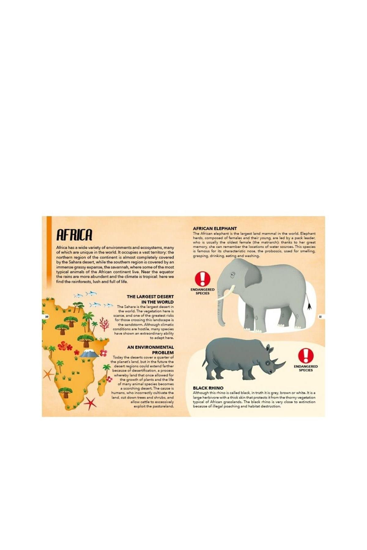 Sassi /TRAVEL, LEARN AND EXPLORE - ENDANGERED ANIMALS Çok Renkli