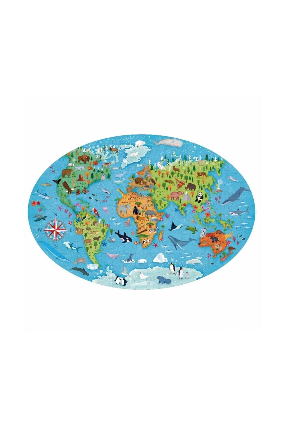 Sassi /TRAVEL, LEARN AND EXPLORE - ENDANGERED ANIMALS Çok Renkli