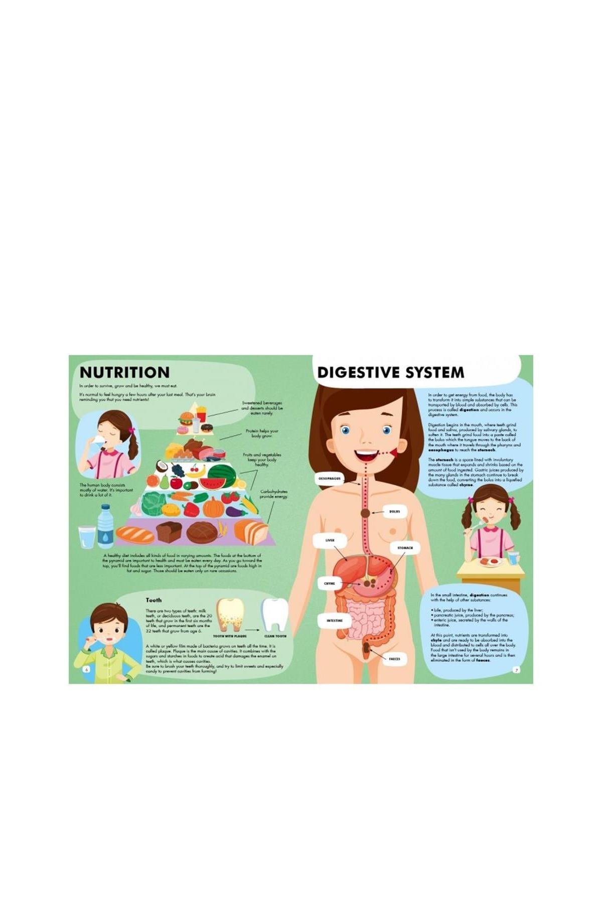 Sassi /TRAVEL, LEARN AND EXPLORE - THE HUMAN BODY Çok Renkli