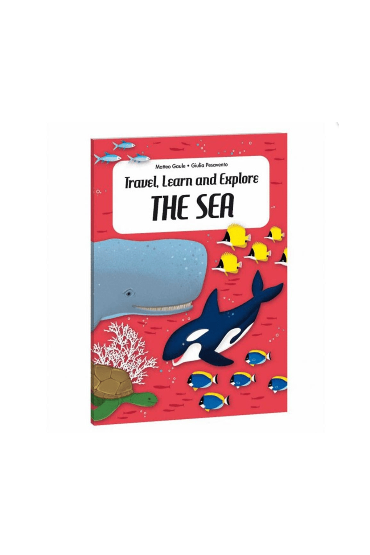 Sassi /TRAVEL, LEARN AND EXPLORE - THE SEA Çok Renkli