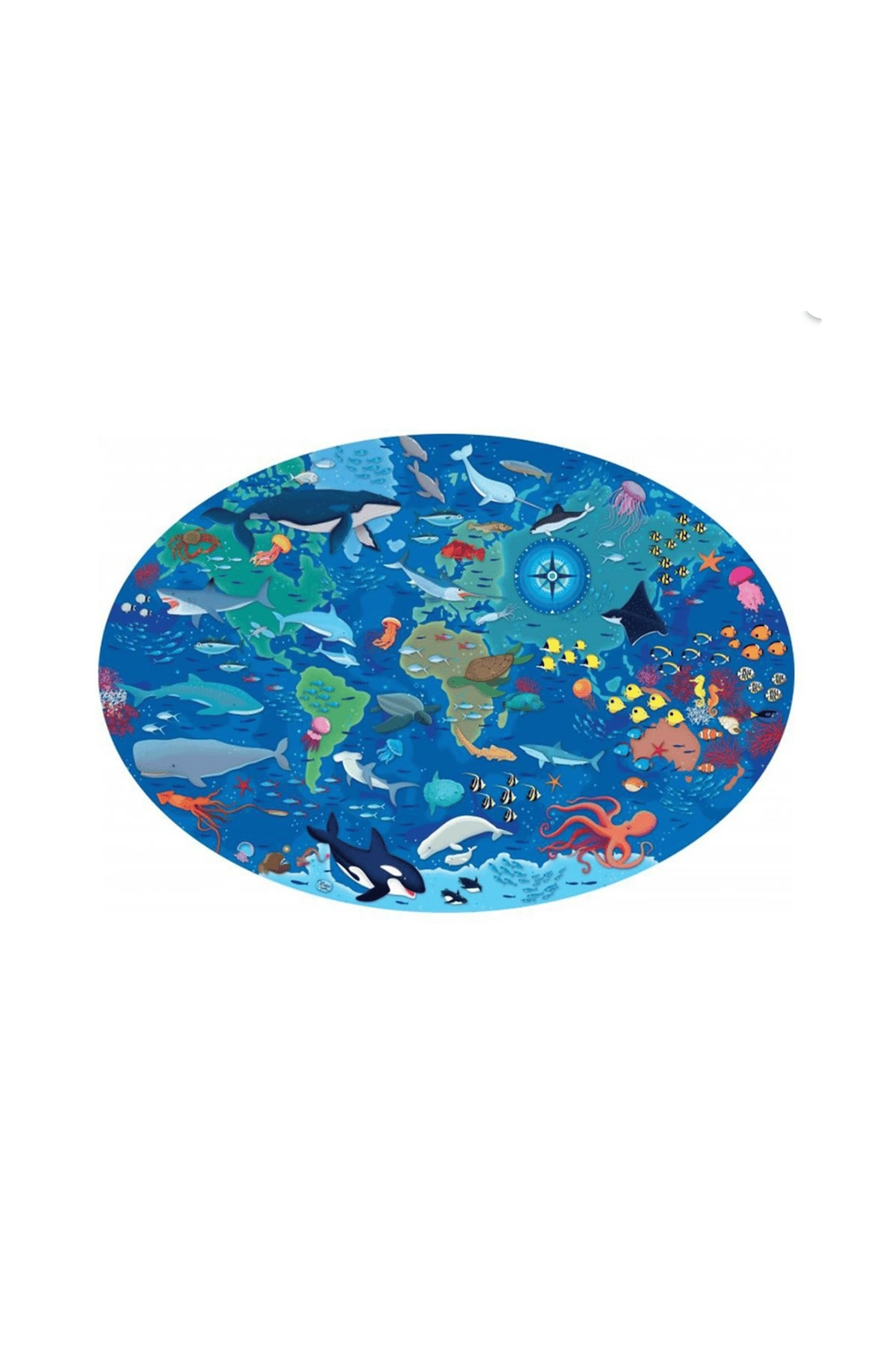 Sassi /TRAVEL, LEARN AND EXPLORE - THE SEA Çok Renkli