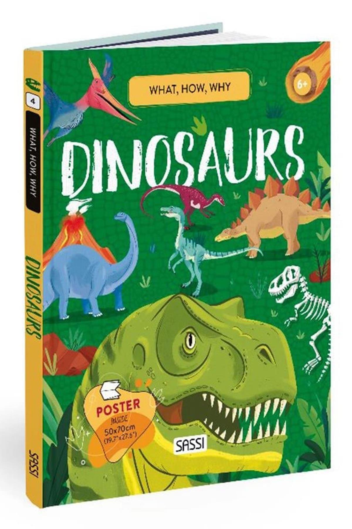 Sassi /WHAT, HOW, WHY - DINOSAURS Çok Renkli