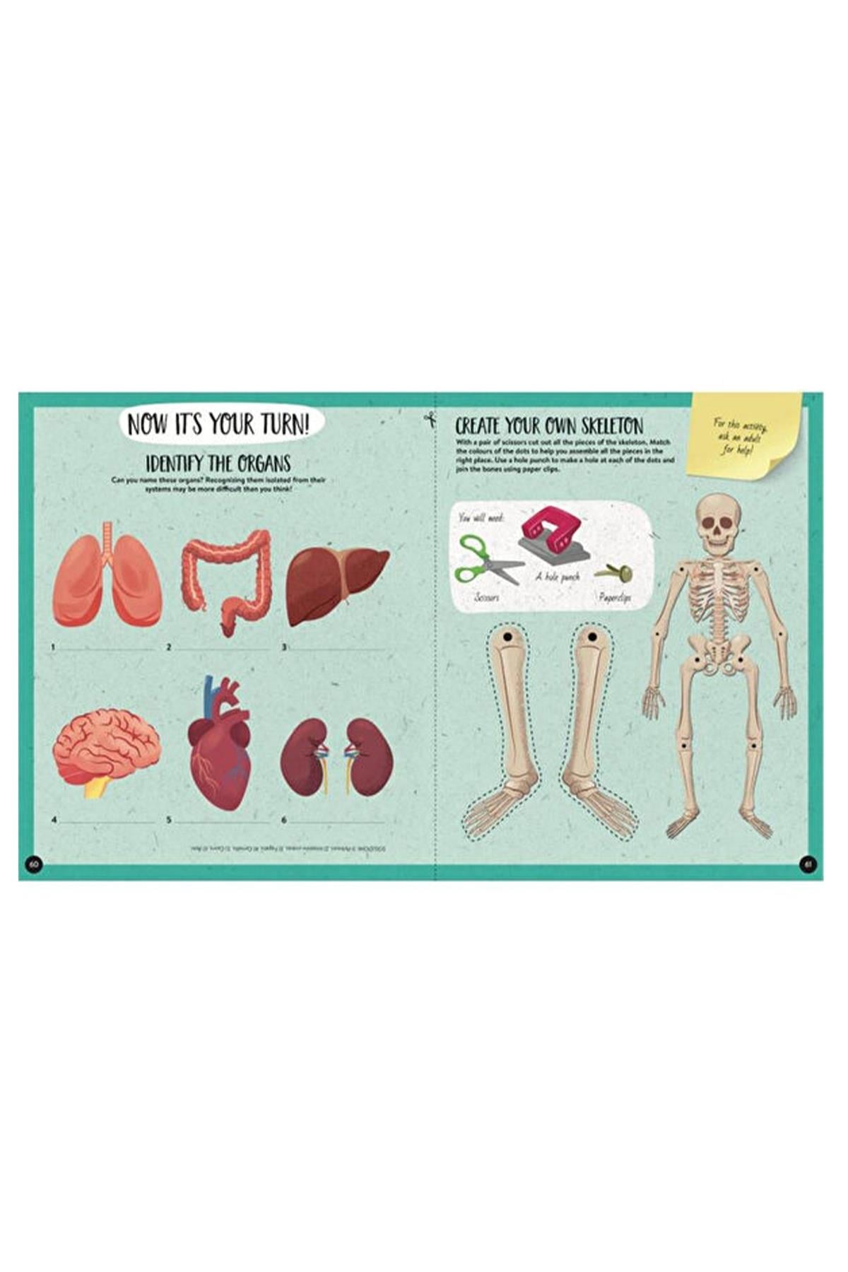Sassi /WHAT, HOW, WHY - HUMAN BODY Çok Renkli