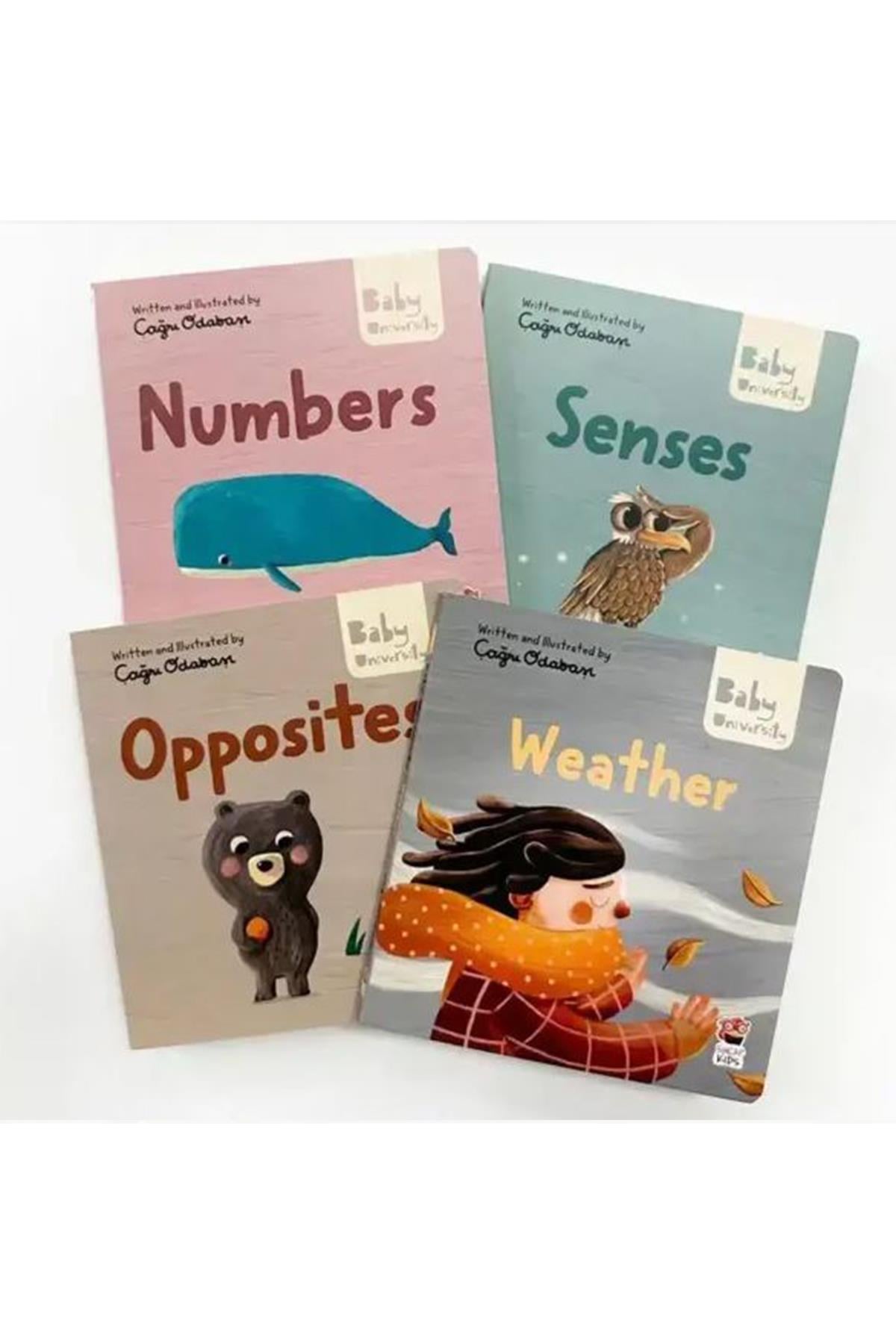 Sincap Kitap / Baby University First Concept Stories 2 - Çağrı Odabaşı Çok Renkli