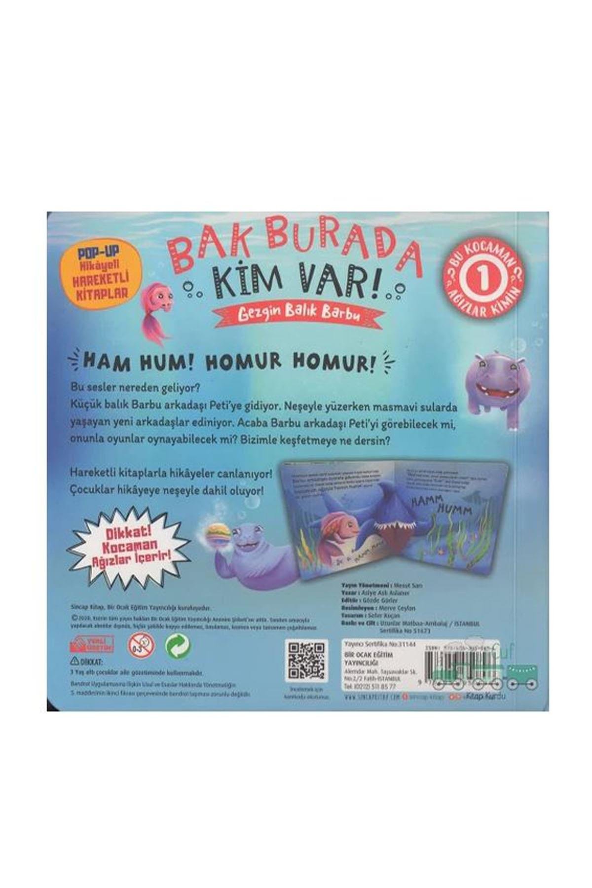 Sincap Kitap / Bak Burada Kim Var - Gezgin Balık Barbu Çok Renkli