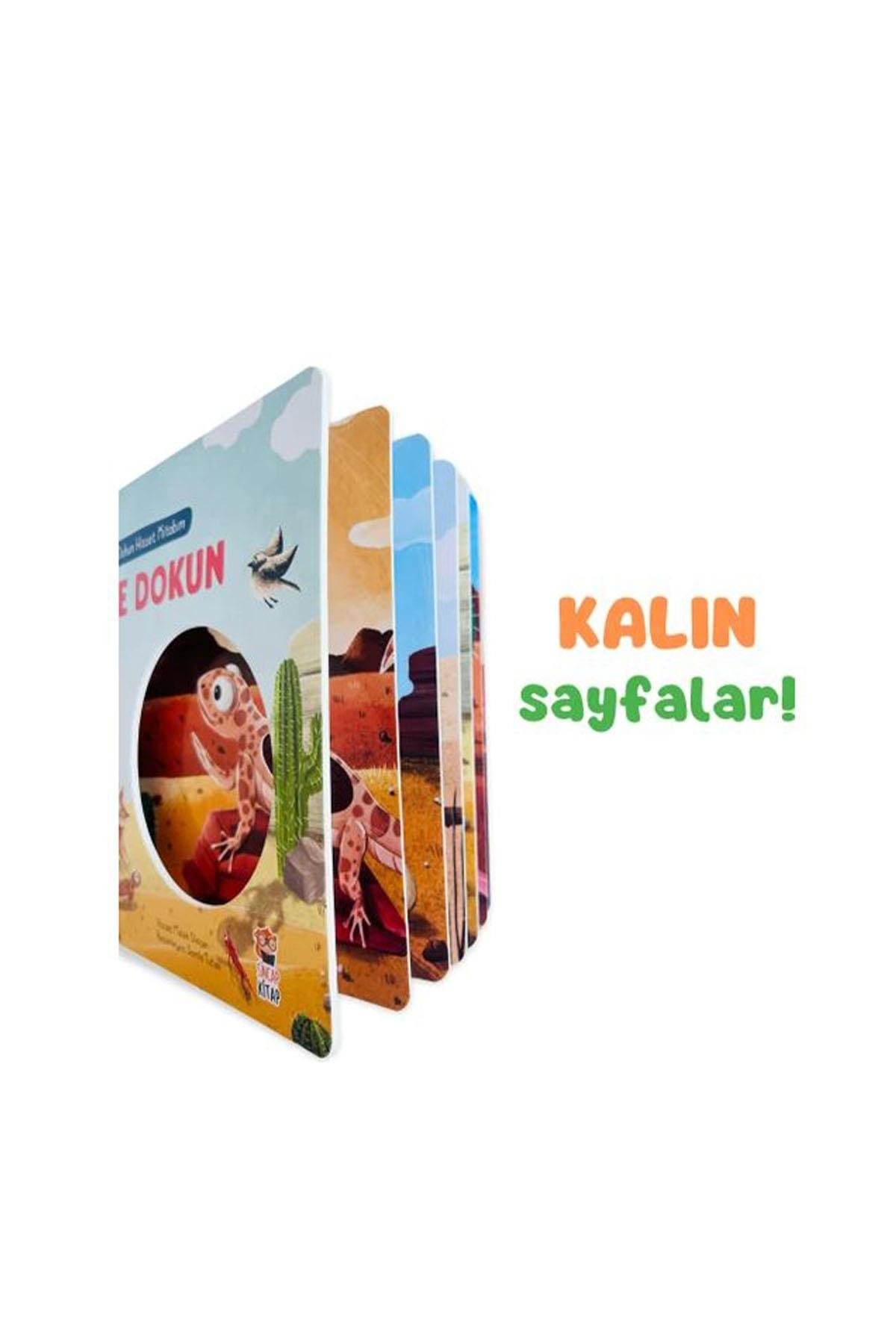 Sincap Kitap / İLK DOKUN HİSSET KİTABIM Çöle Dokun Çok Renkli