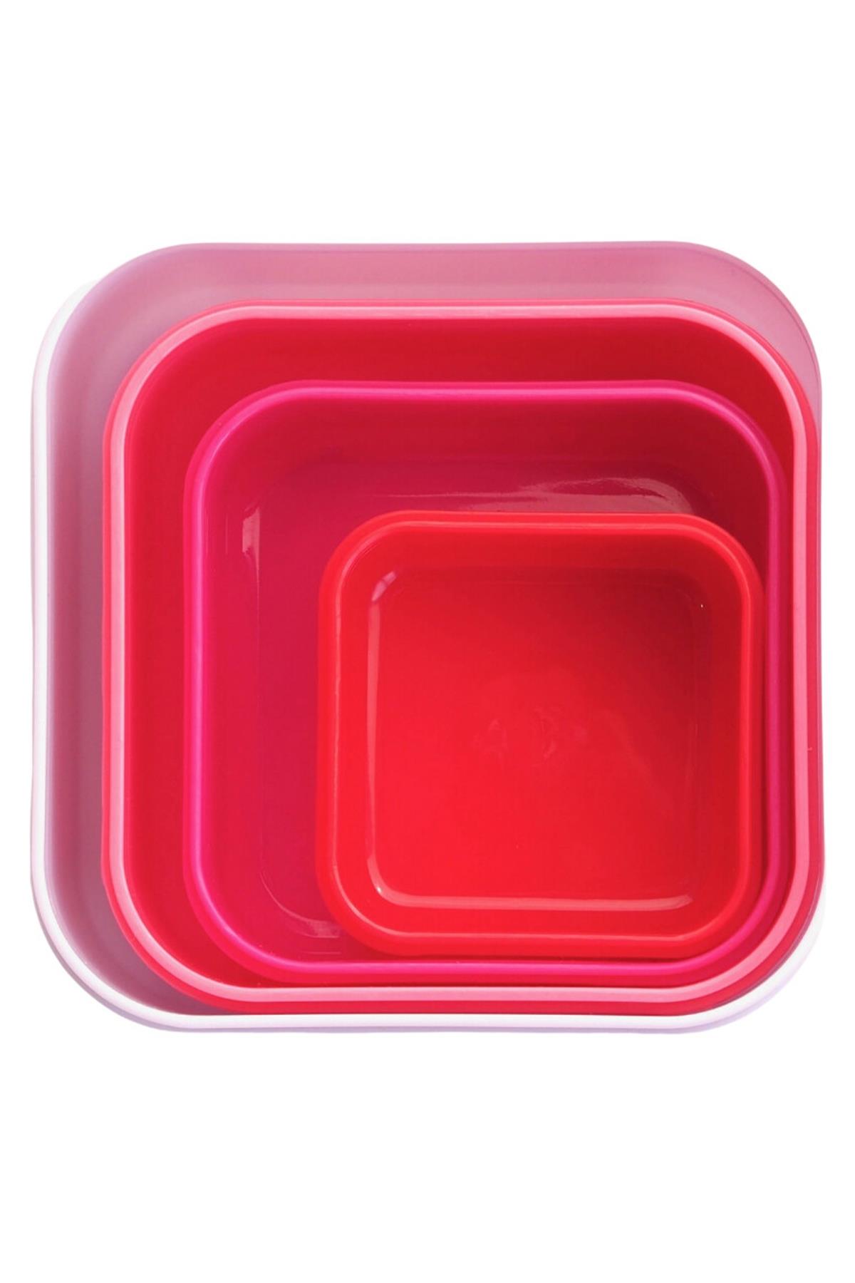 TYRRELL KATZ 4.LÜ ATIŞTIRMA KUTUSU SECRET GARDEN Çok Renkli