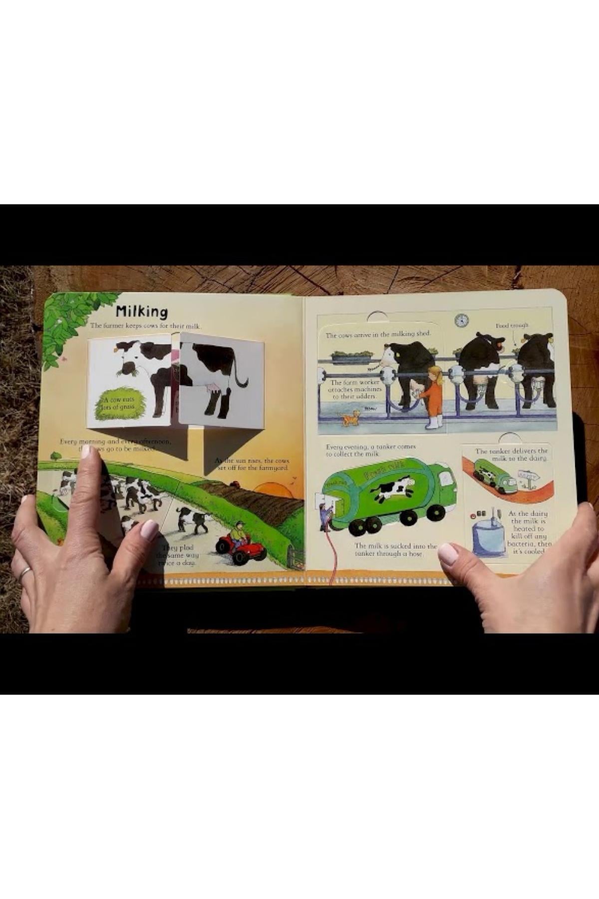 Usborne /LOOK INSIDE A FARM Çok Renkli