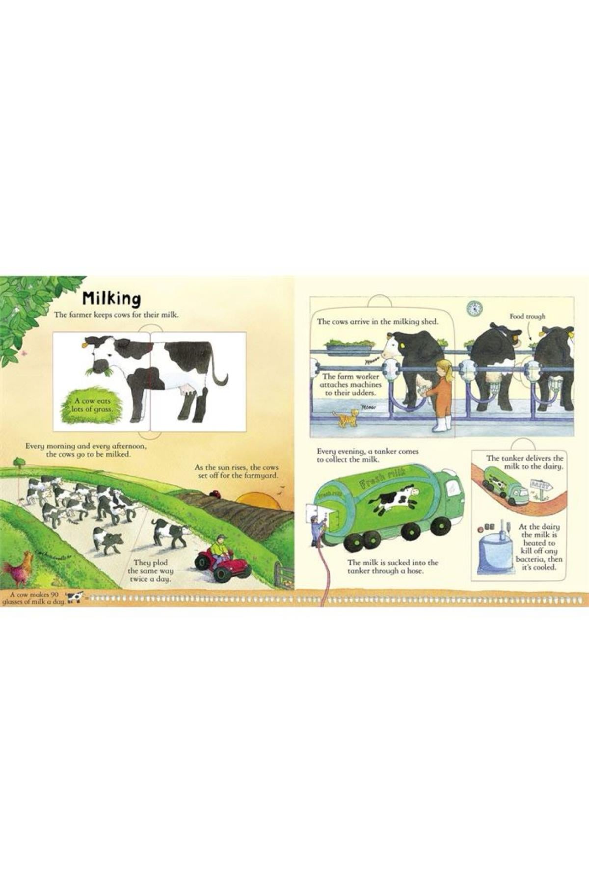 Usborne /LOOK INSIDE A FARM Çok Renkli