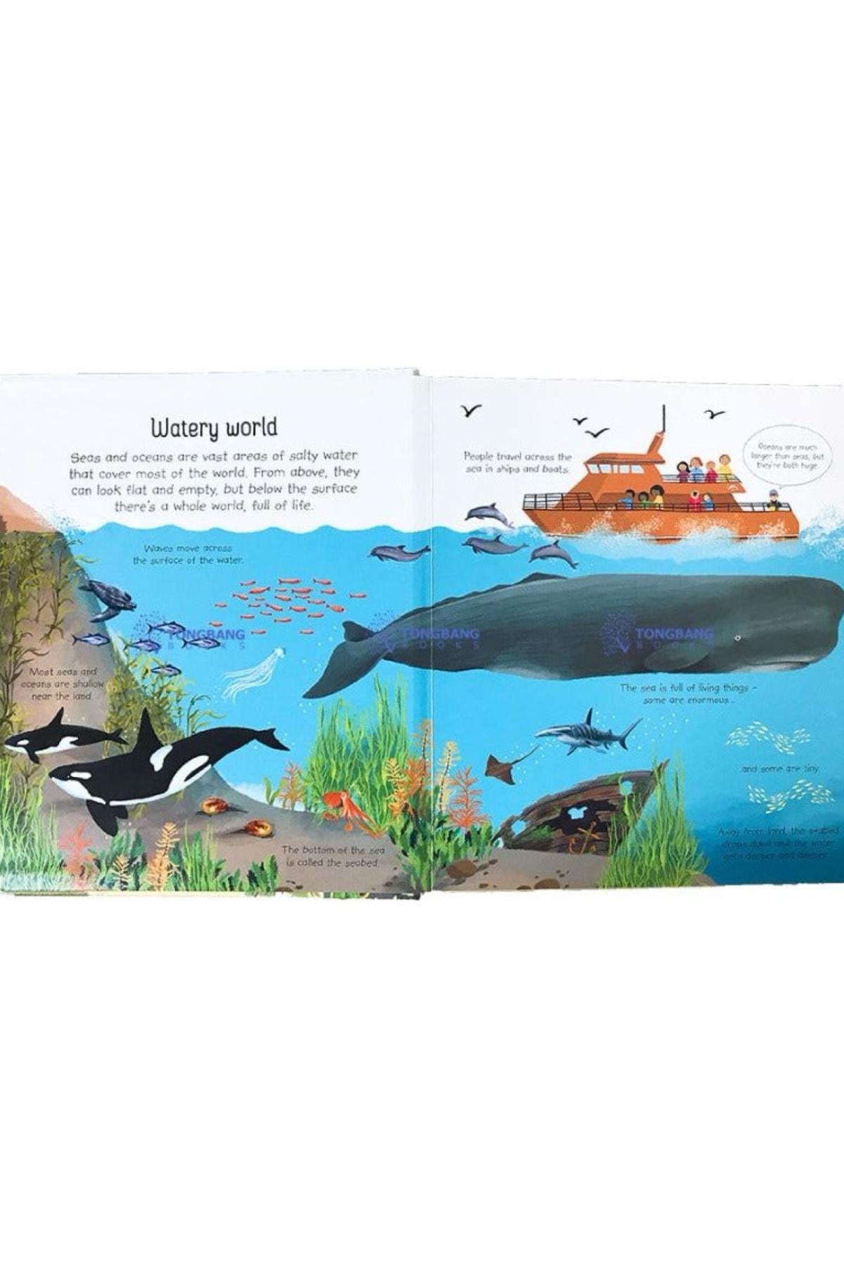 Usborne /MY FIRST SEAS AND OCEANS BOOK Çok Renkli