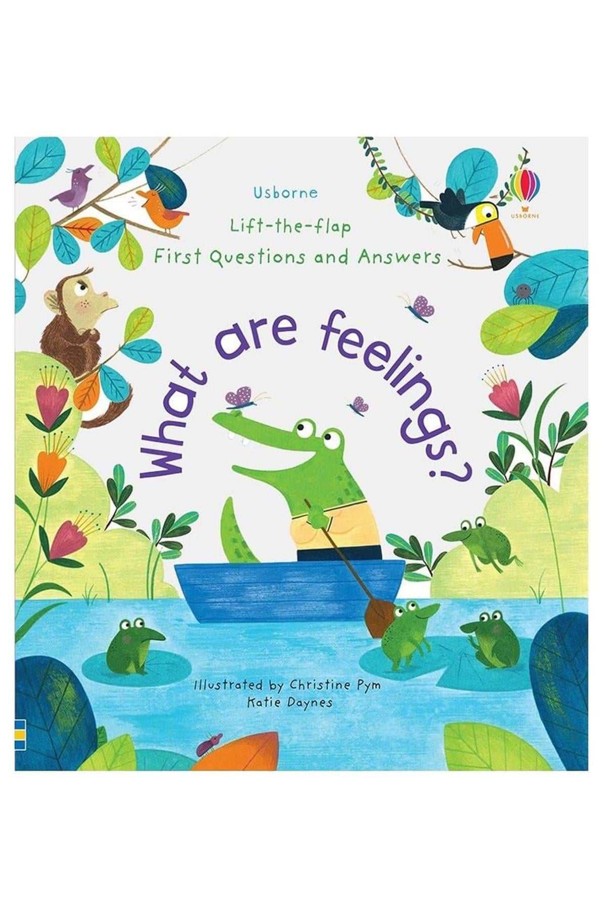 Usborne / WHAT ARE FEELINGS Çok Renkli