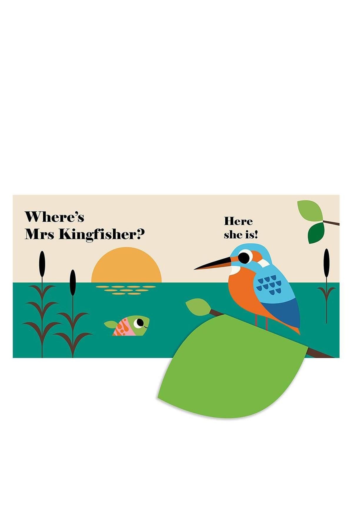 WHERE IS MR PUFFIN Çok Renkli