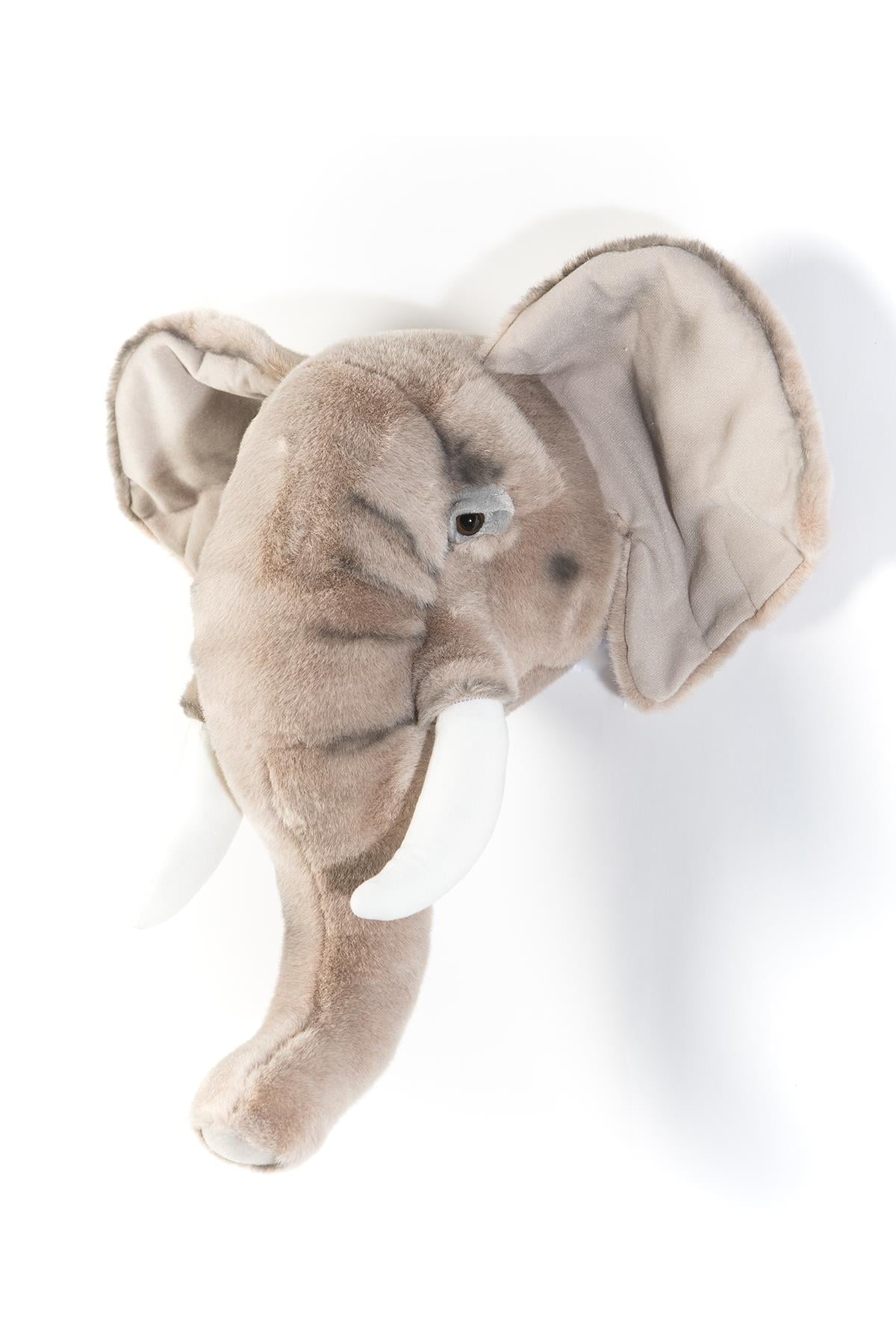 Wild Soft / Fil 'George' Std