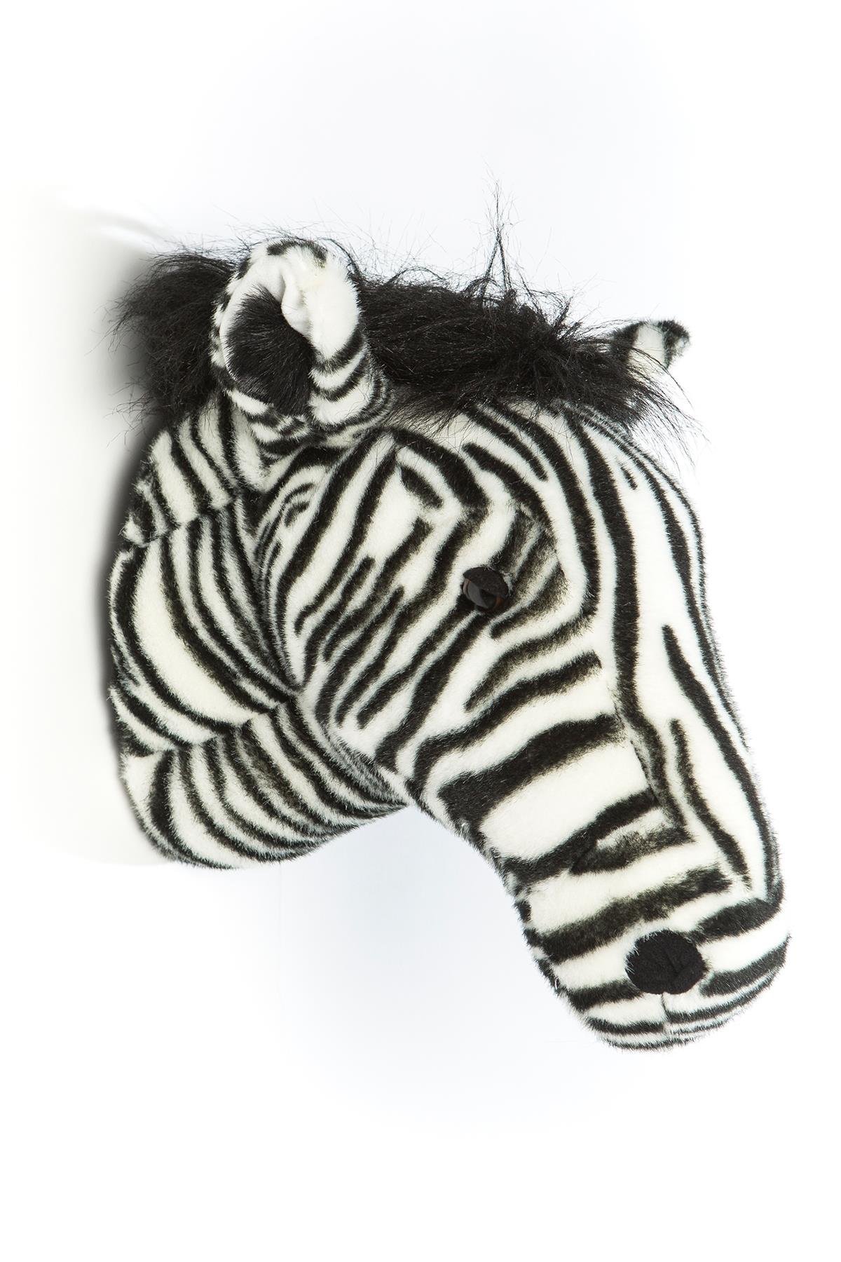 Wild Soft / Zebra 'Daniel' Std