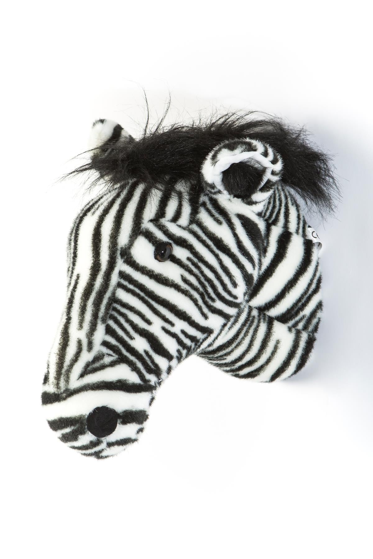 Wild Soft / Zebra 'Daniel' Std