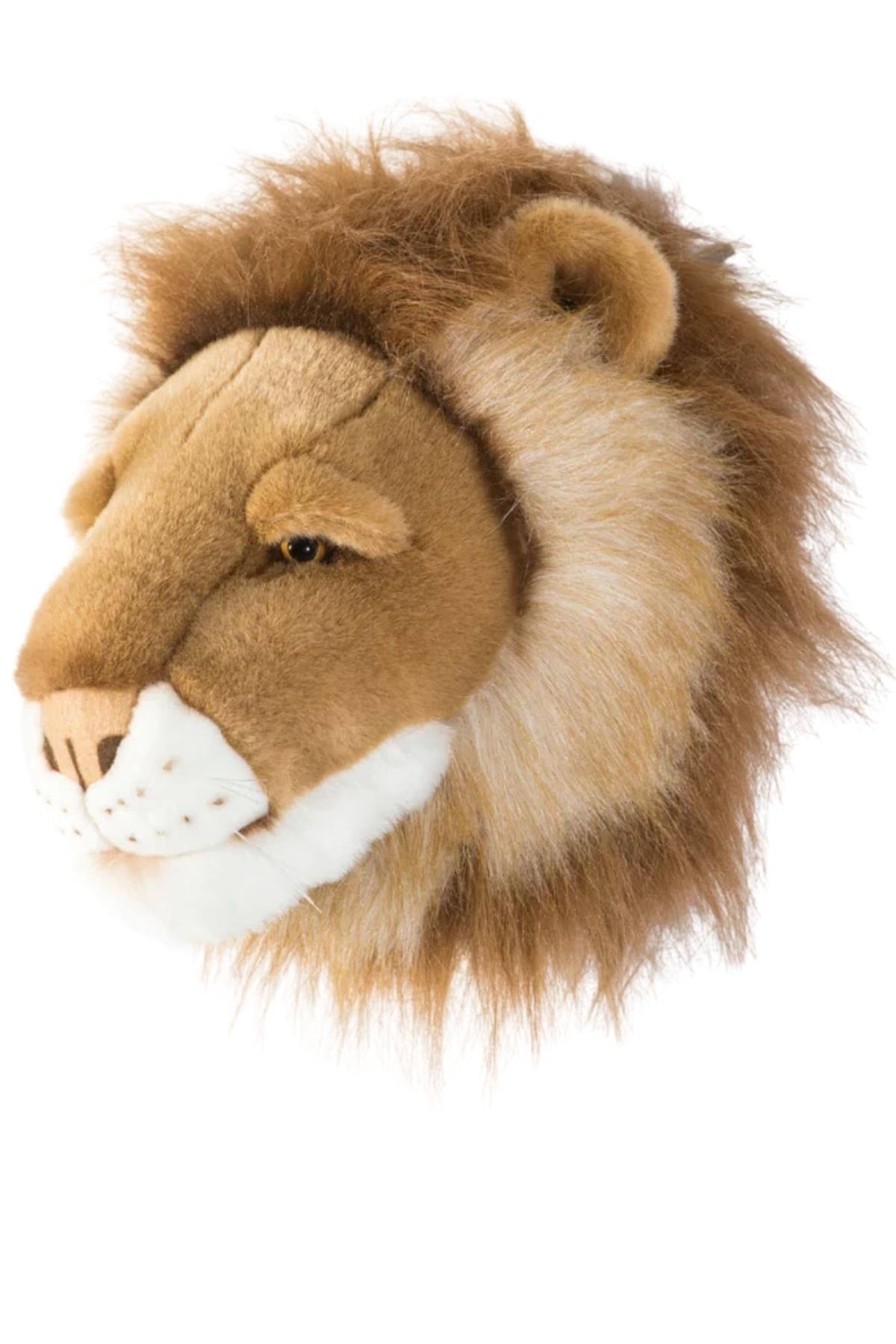 Wild&Soft / Aslan Cesar Std