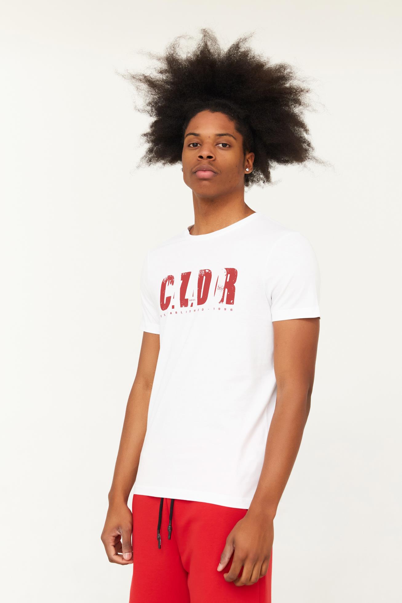 CAZ 4147 ORTA BİS T-SHIRT