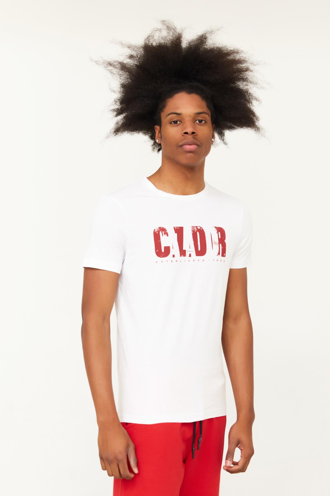 CAZ 4147 ORTA BİS T-SHIRT