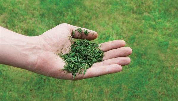 Einhell - Einhell GC-PM 56/2 S HW Benzinli Çim Biçme Makinesi 2.8kW