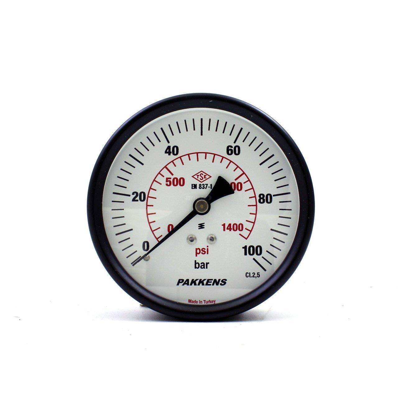 Pakkens - Pakkens 0-100 Bar 100 mm Arkadan Bağlantılı Kuru Manometre G 1/4 inç