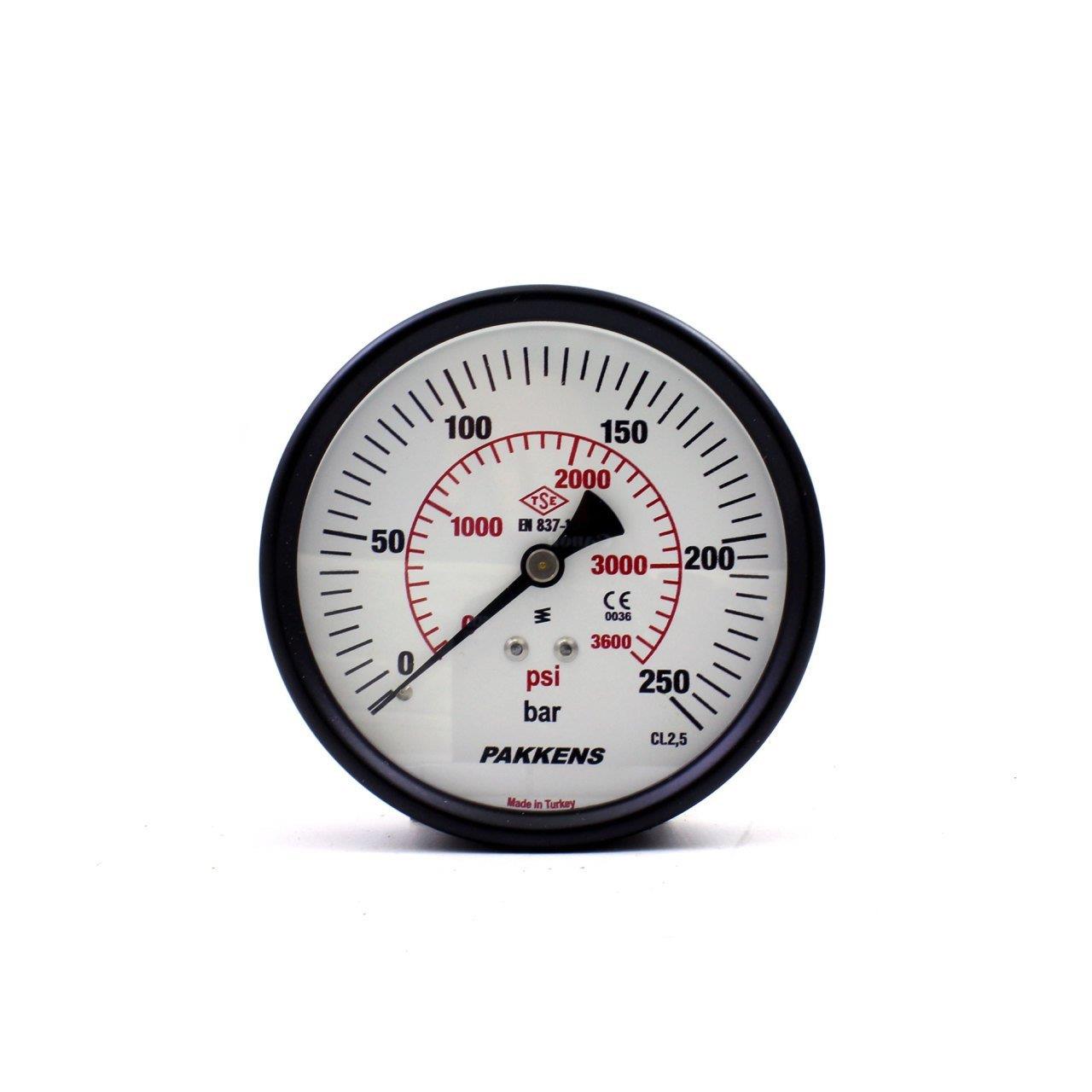 Pakkens - Pakkens 0-250 Bar 100 mm Arkadan Bağlantılı Kuru Manometre G 1/4 inç