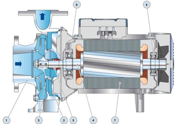 Pedrollo Pompa - Pedrollo F 65/125A - I Flanşlı Santrifüj Paslanmaz Pompa