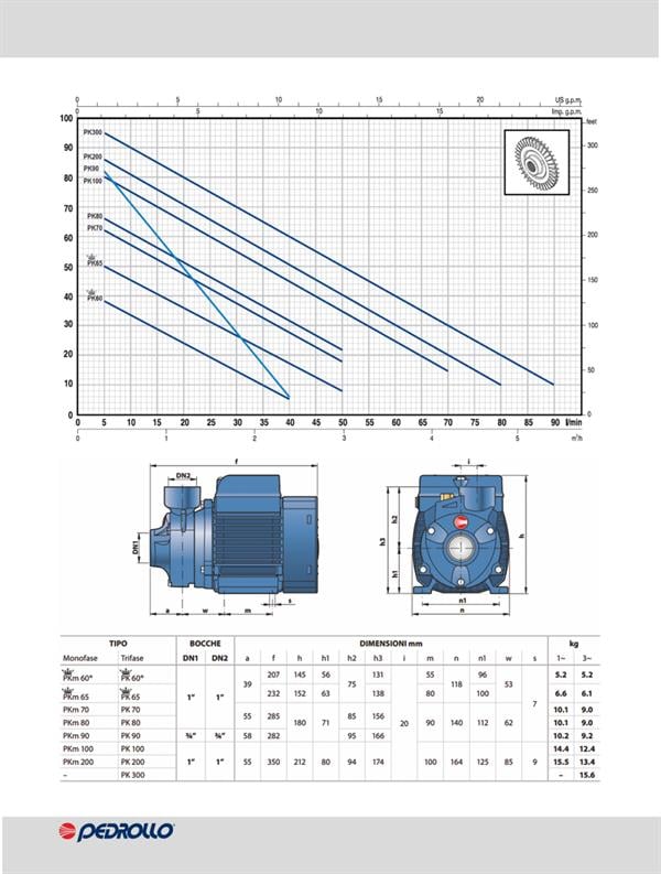 Pedrollo Pompa - Pedrollo PK 300 Preferikal Pompa Trifaze (380V) 100 mss 5.4 m³/h