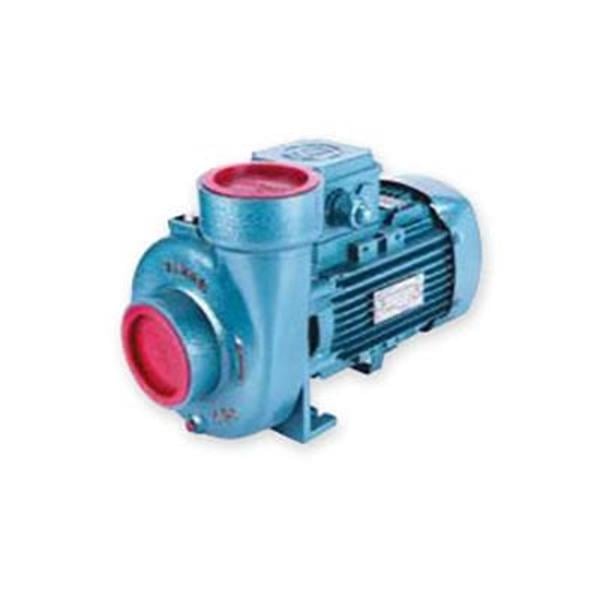 Varan - Varan CS-215 Kompakt Monoblok Santrifüj Pompa 1.5 Hp 380 Volt