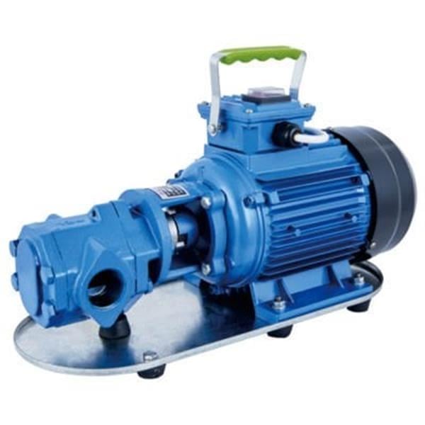 Water Sound - Dişli Yağ Aktarma Pompası 1Hp 4 Bar 4.5 m³/h 380 Volt