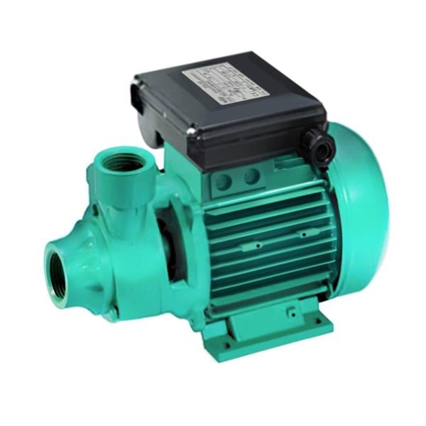 Wilo - Wilo PV 50M Döküm Gövdeli Preferikal Pompa 0.8 Hp 60 mss 3 m³/h 220 Volt