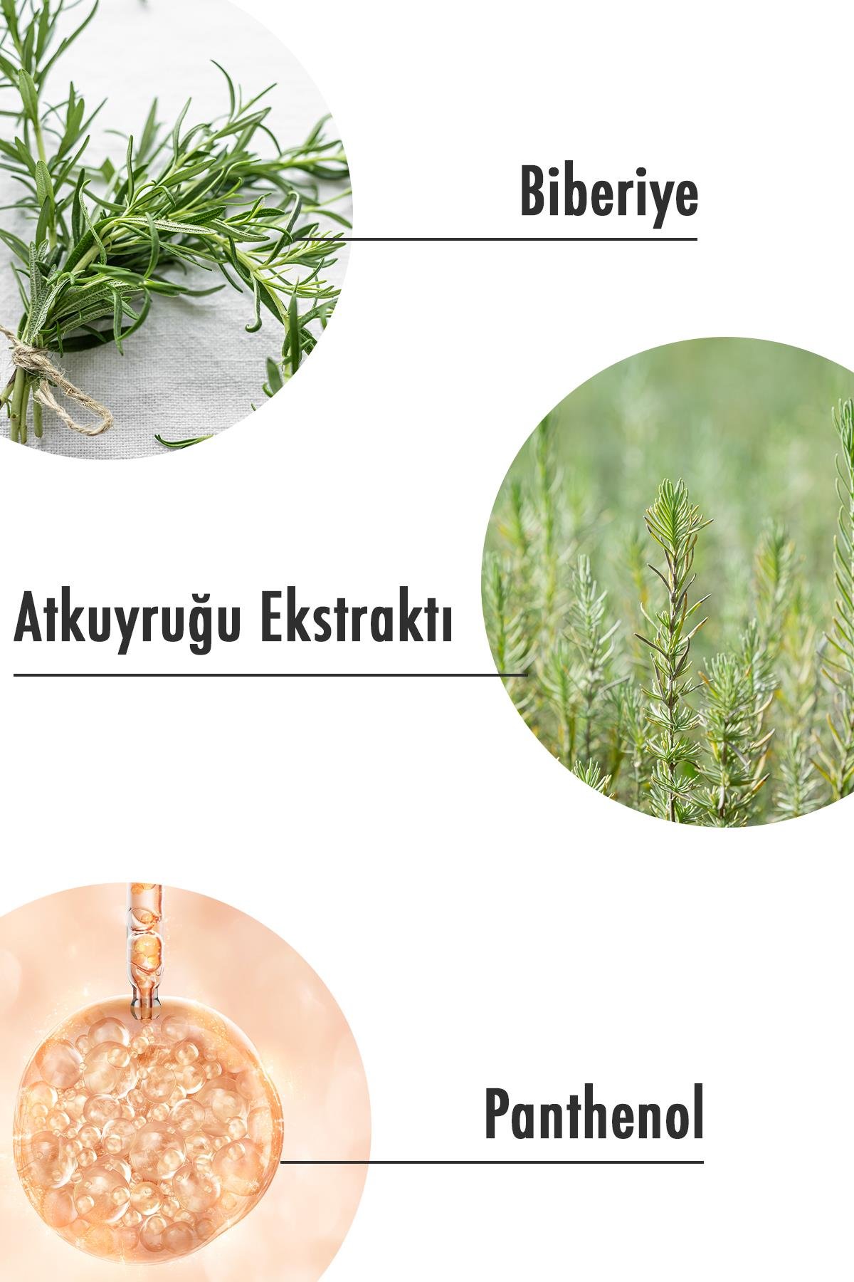 Maruderm SLES-Free Biberiye Şampuan 400 ML | Tüm Saç Tipleri | Sülfatsız,Tuzsuz,Vegan Şampuan