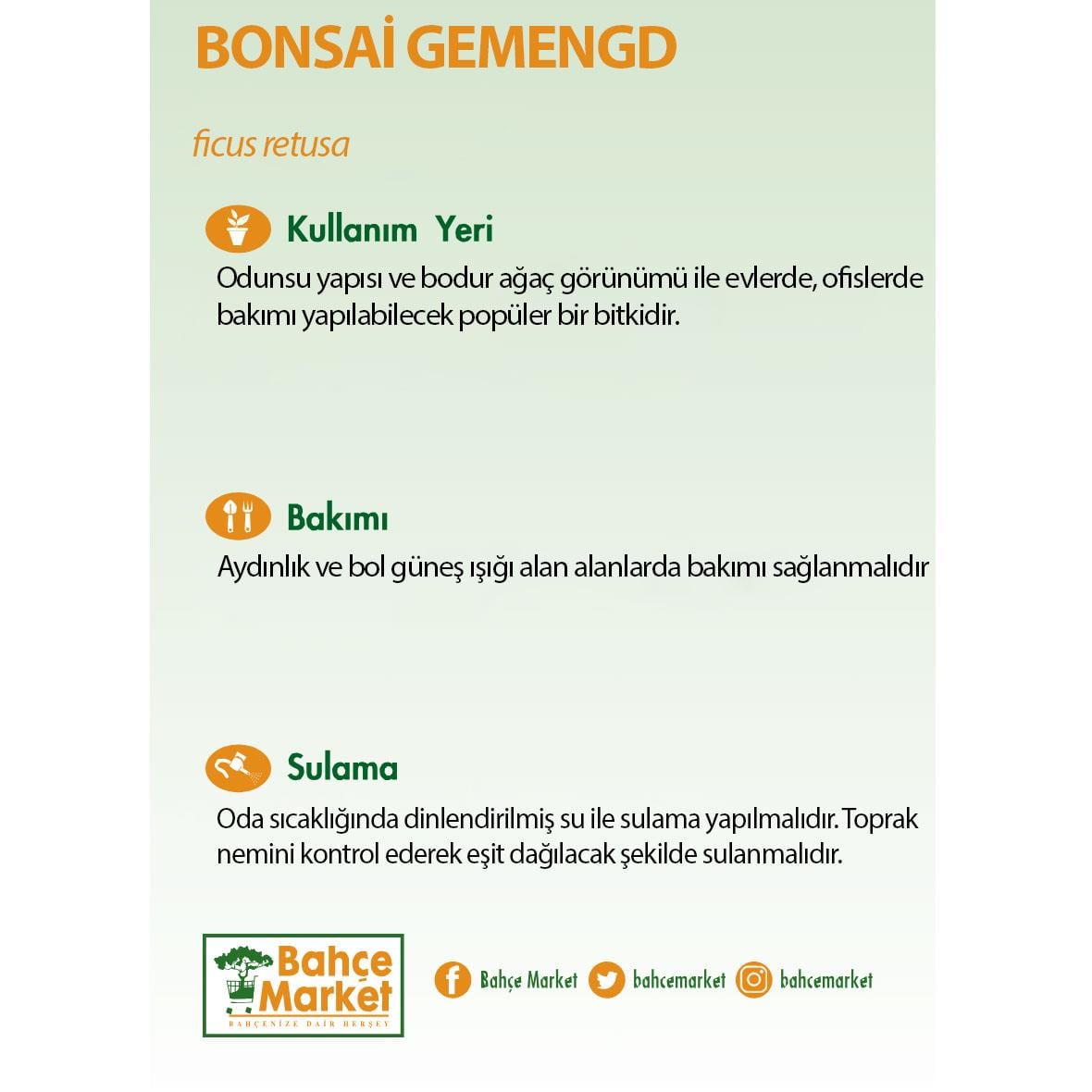 Bonsai Gemengd Yeşil