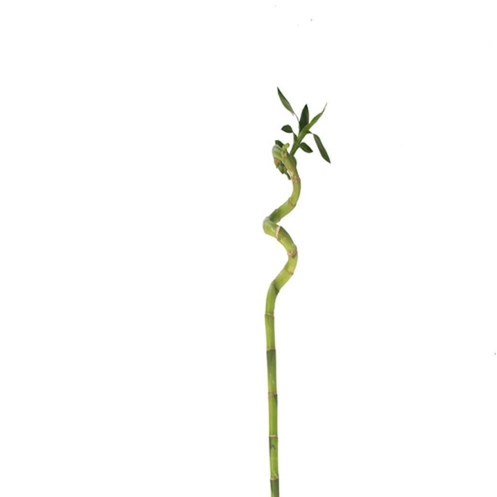 burgulu-bambu-boy-60-80-cm-5-918b.jpg