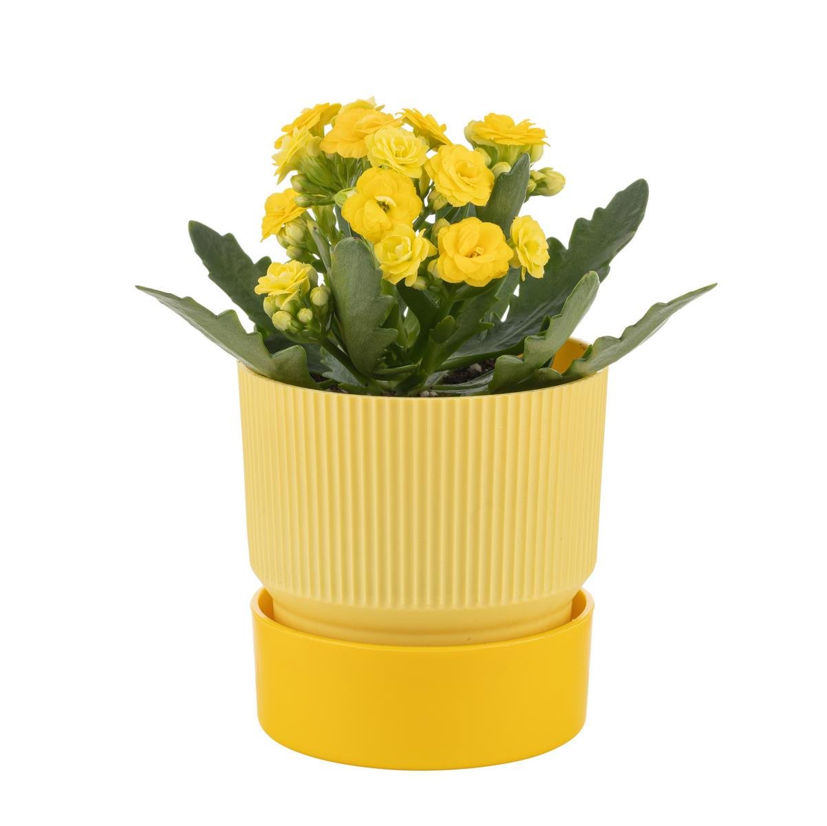 Çizgi Desenli Saksı Tabaklı Gri 0,4 Lt 90*90 Mm