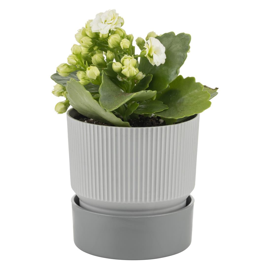 Çizgi Desenli Saksı Tabaklı Gri 4 Lt 190*190 Mm