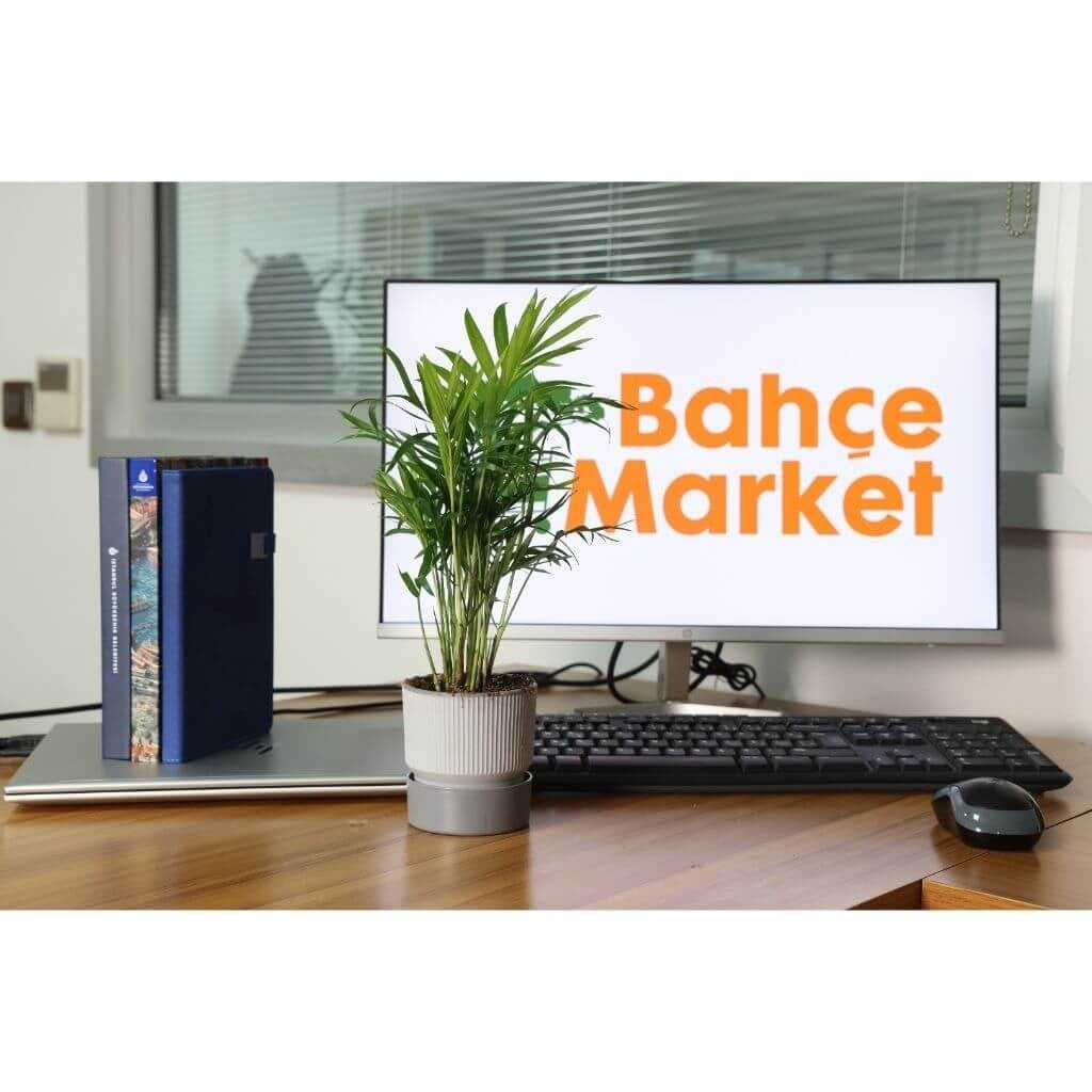 Çizgi Desenli Saksı Tabaklı Sarı 0,4 Lt 90*90 Mm