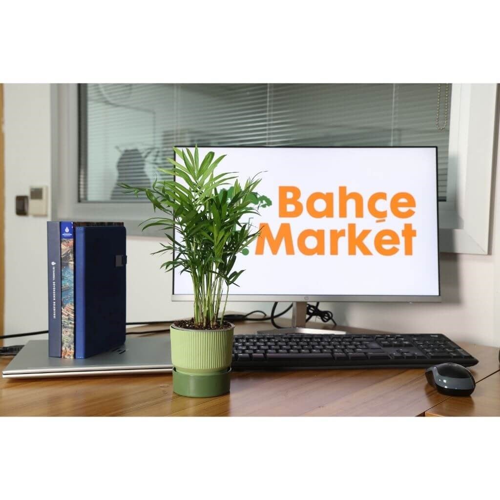 Çizgi Desenli Saksı Tabaklı Sarı 0,4 Lt 90*90 Mm